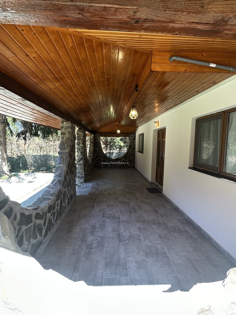 Forest House