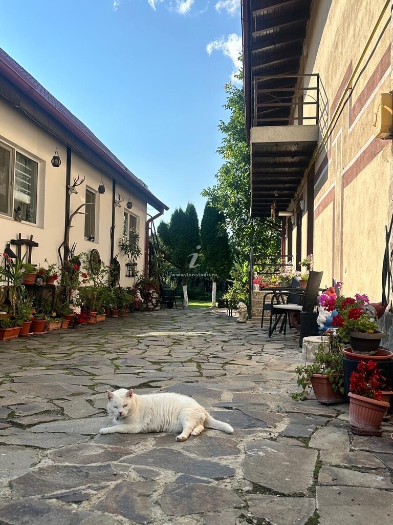 Casa Codruța