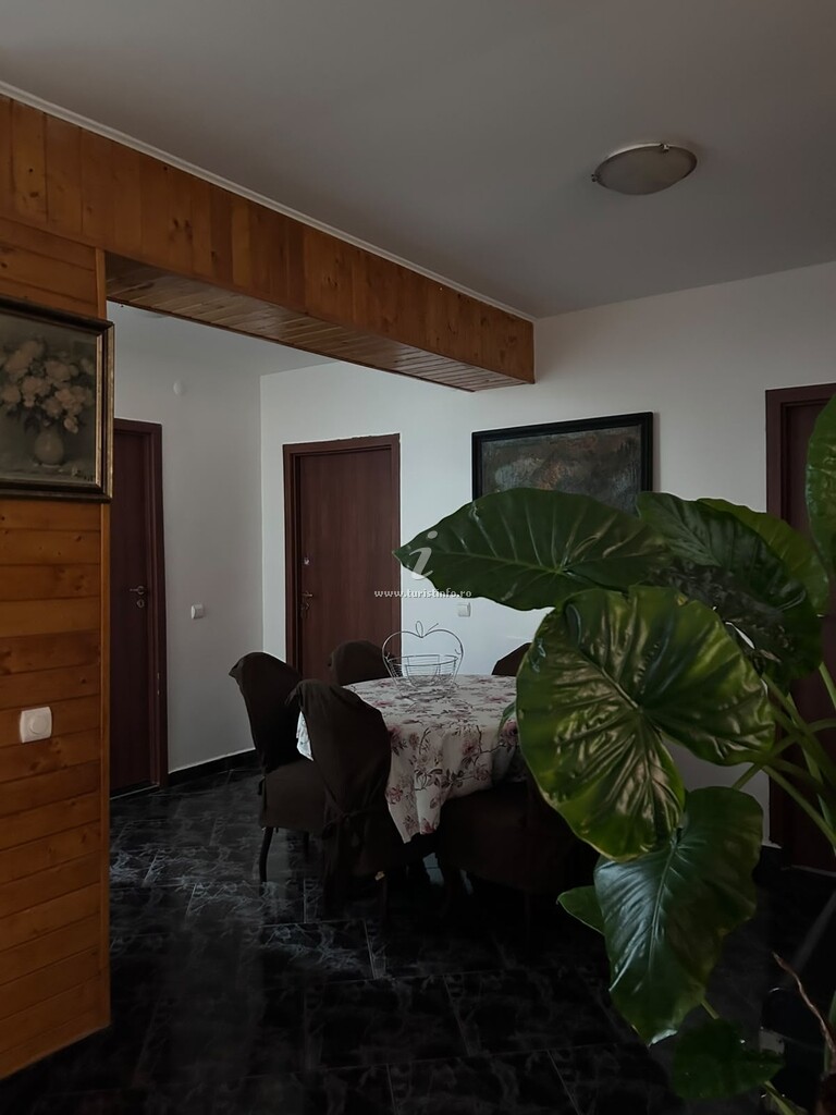 Casa Codruța