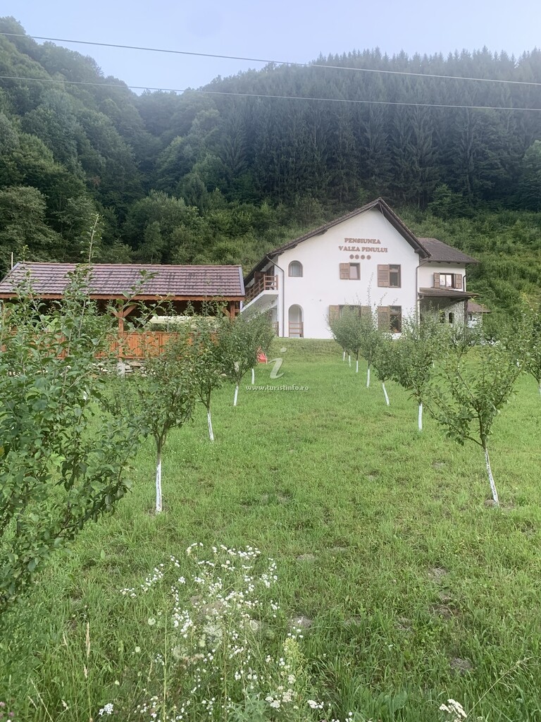 Pensiunea Valea Pinului