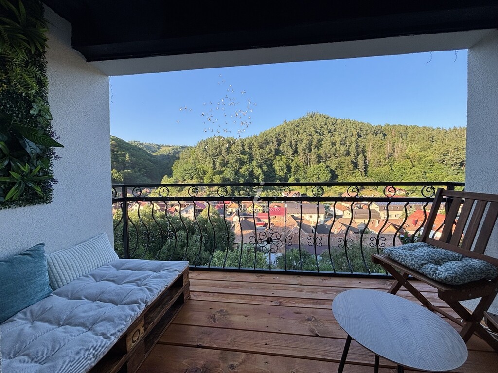 Pensiunea Village View