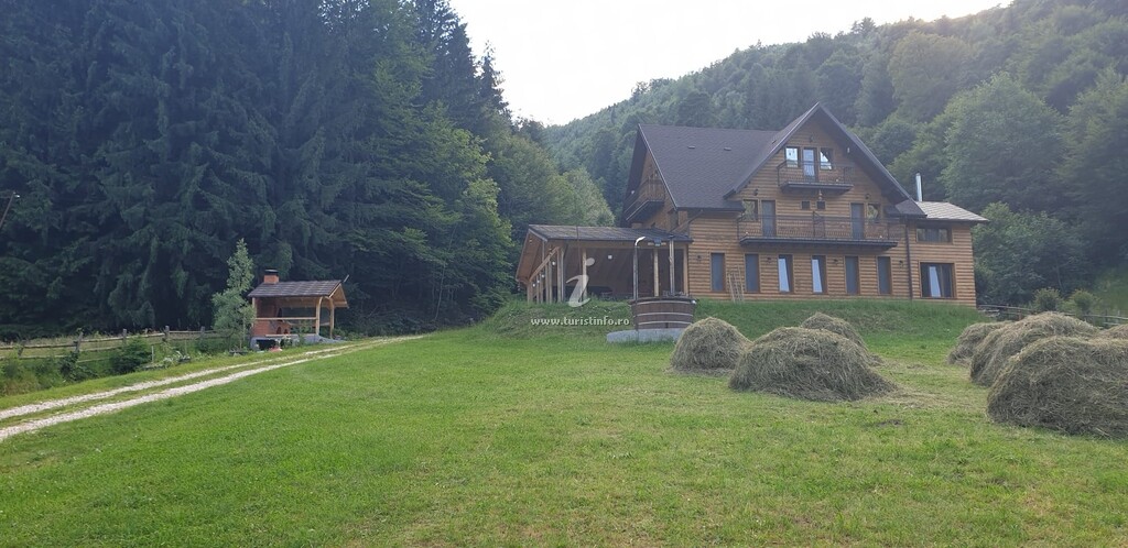 Casa Nicolescu