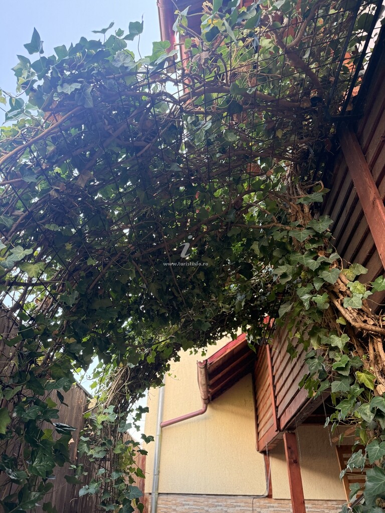 Pensiunea Casa Petrișor
