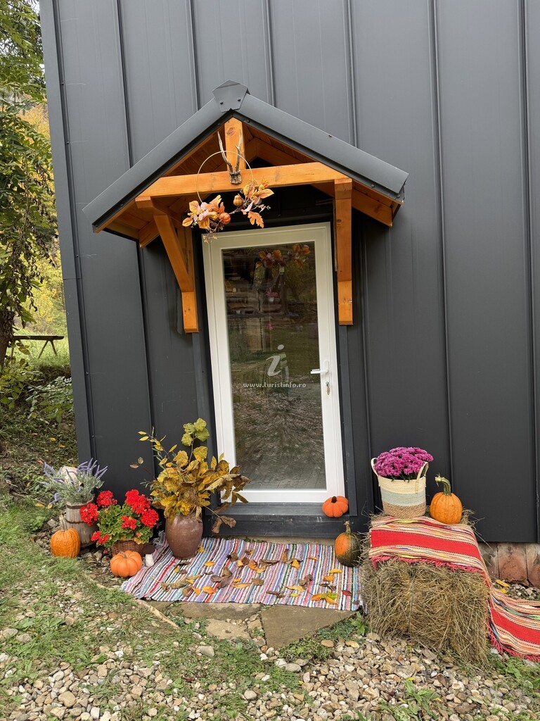 Cabana Magic Pine Nest