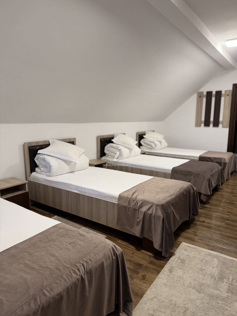 Pensiunea Rustic House