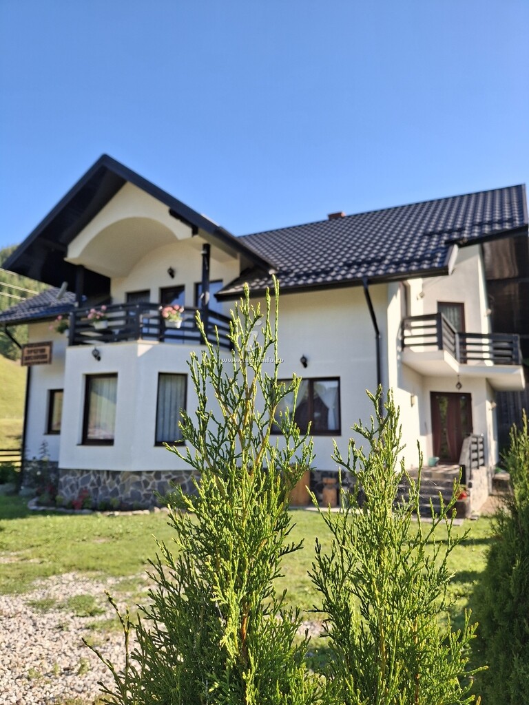 Pensiunea Ștefan Bucovina
