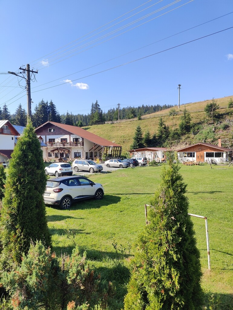 Pensiunea Trei Brazi