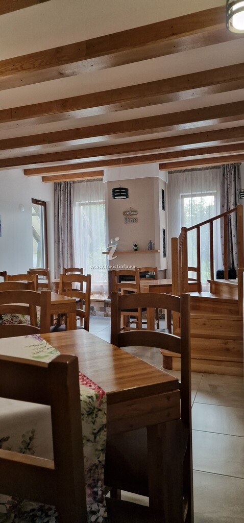 Vila Slănic