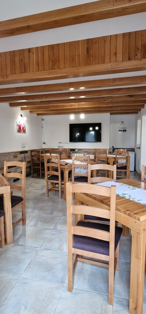 Vila Slănic