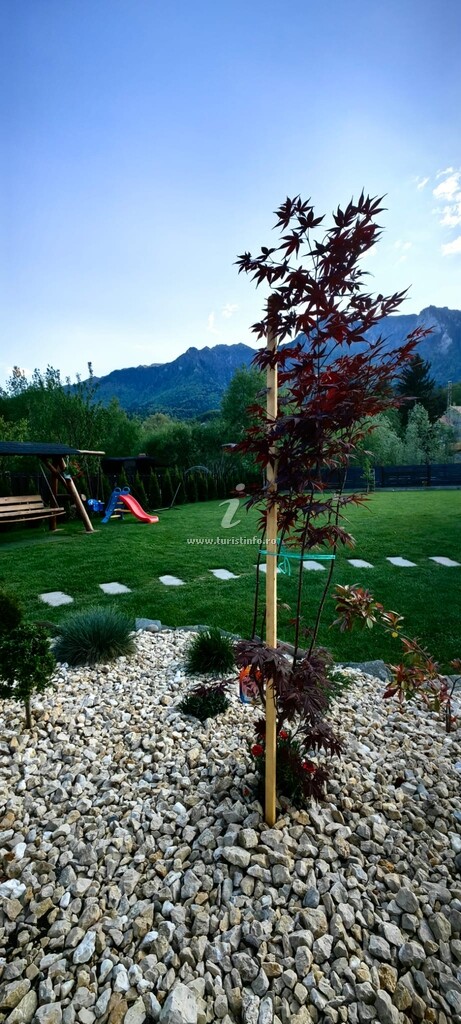 Vila Mountain Guest-House