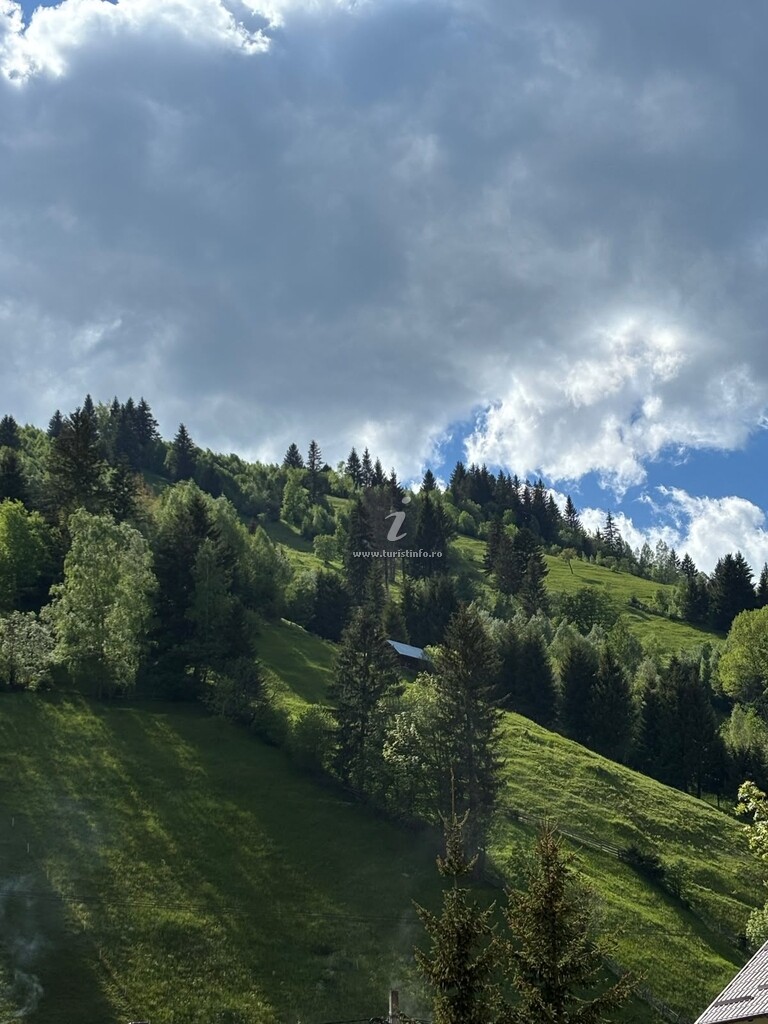 Valea Dorului Guest House