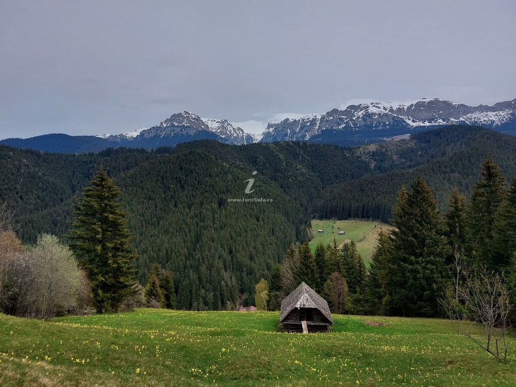 Valea Dorului Guest House