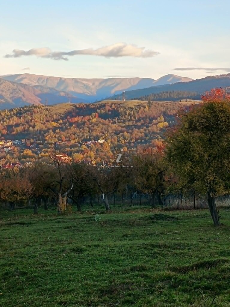 Livada din Muscel - Casa Iulia