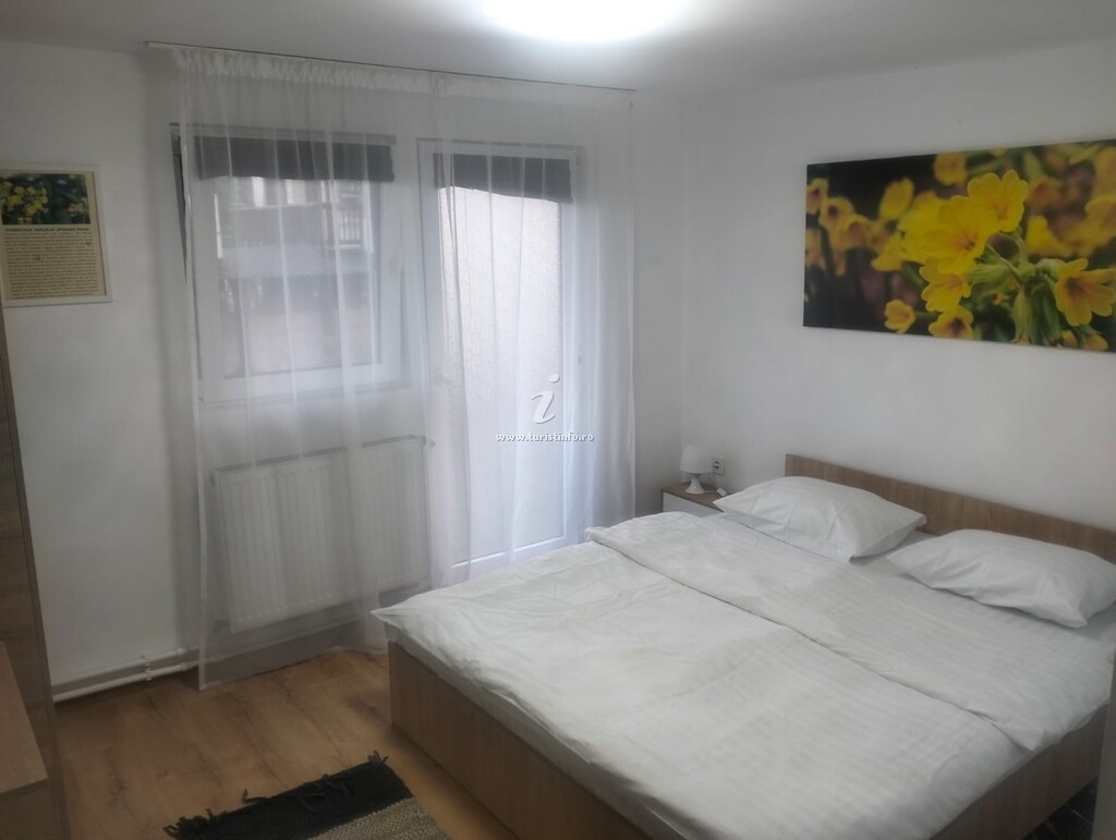 Casa de vacanță Flori de Munte