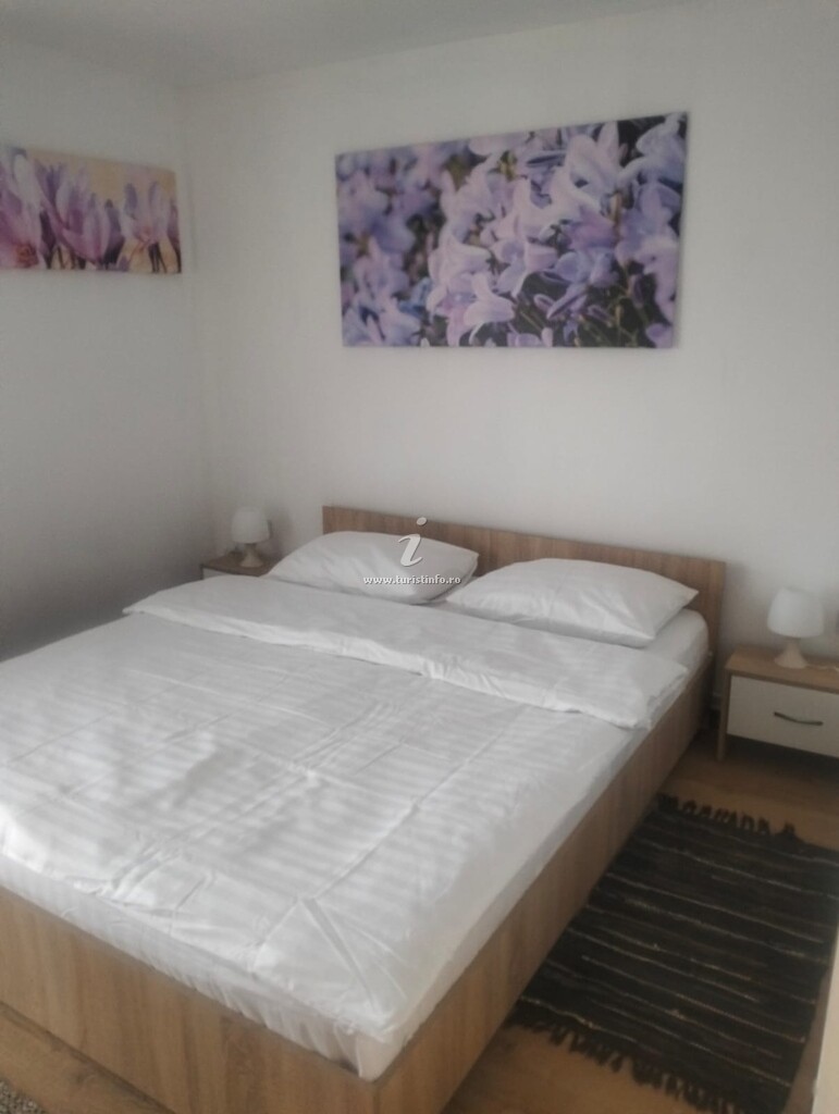 Casa de vacanță Flori de Munte