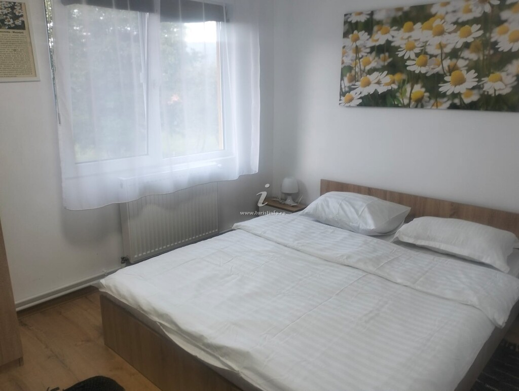 Casa de vacanță Flori de Munte