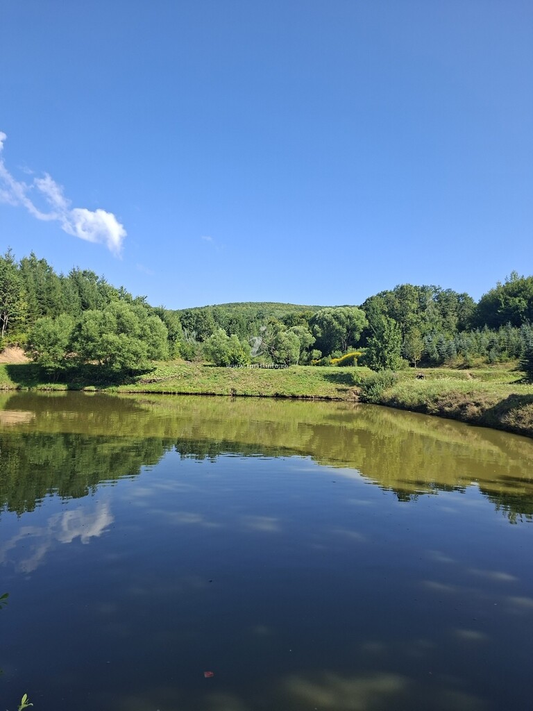 Pensiunea La Lacuri