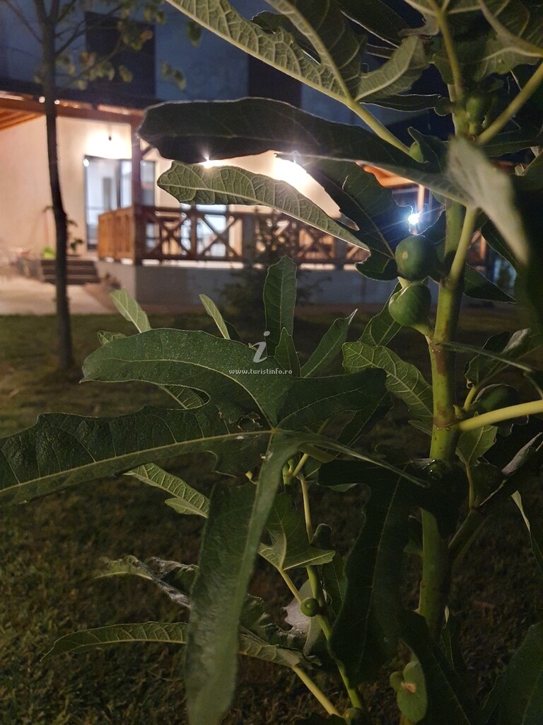 Pensiunea Deko