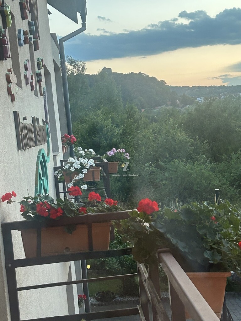 Pensiunea Casa cu Flori