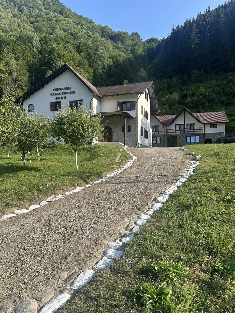 Pensiunea Valea Pinului