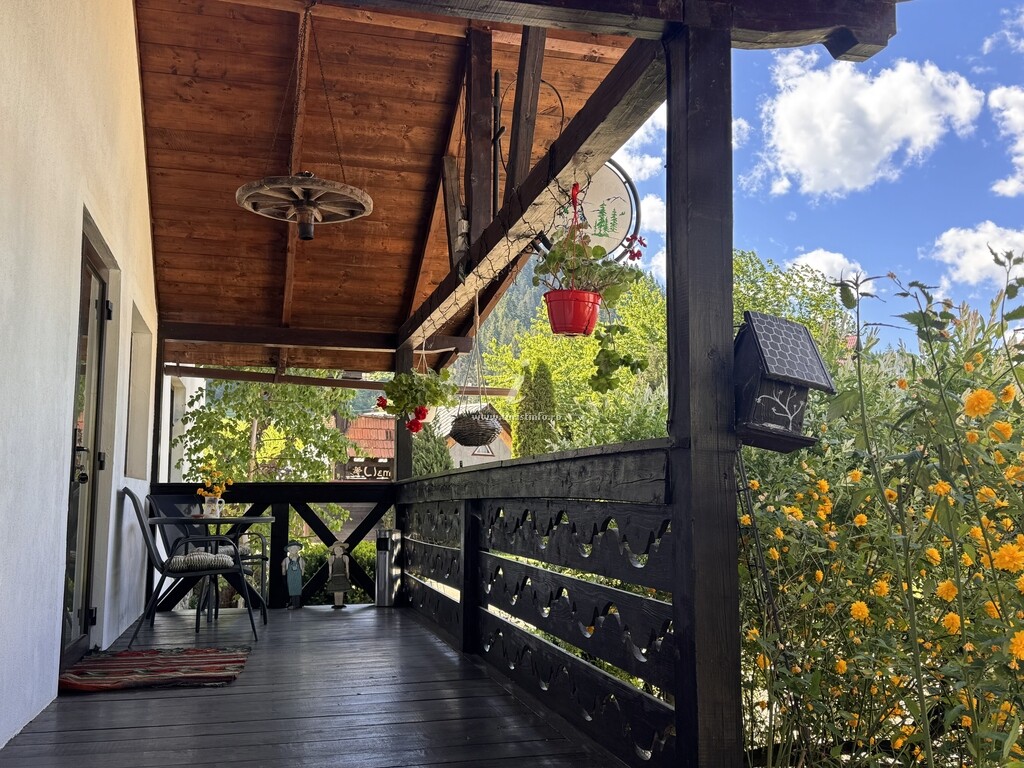 Cabana Clematis