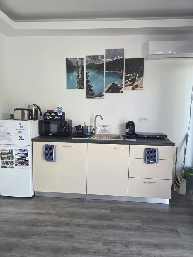 Casa de vacanță Sia Lake View Bicaz