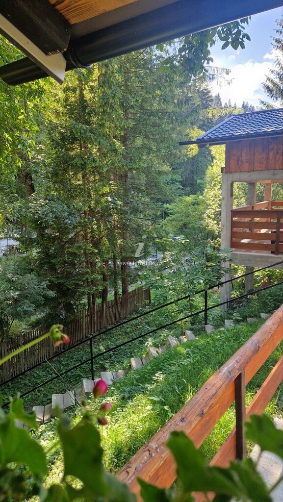 Camere de închiriat Lia Ciocârlia