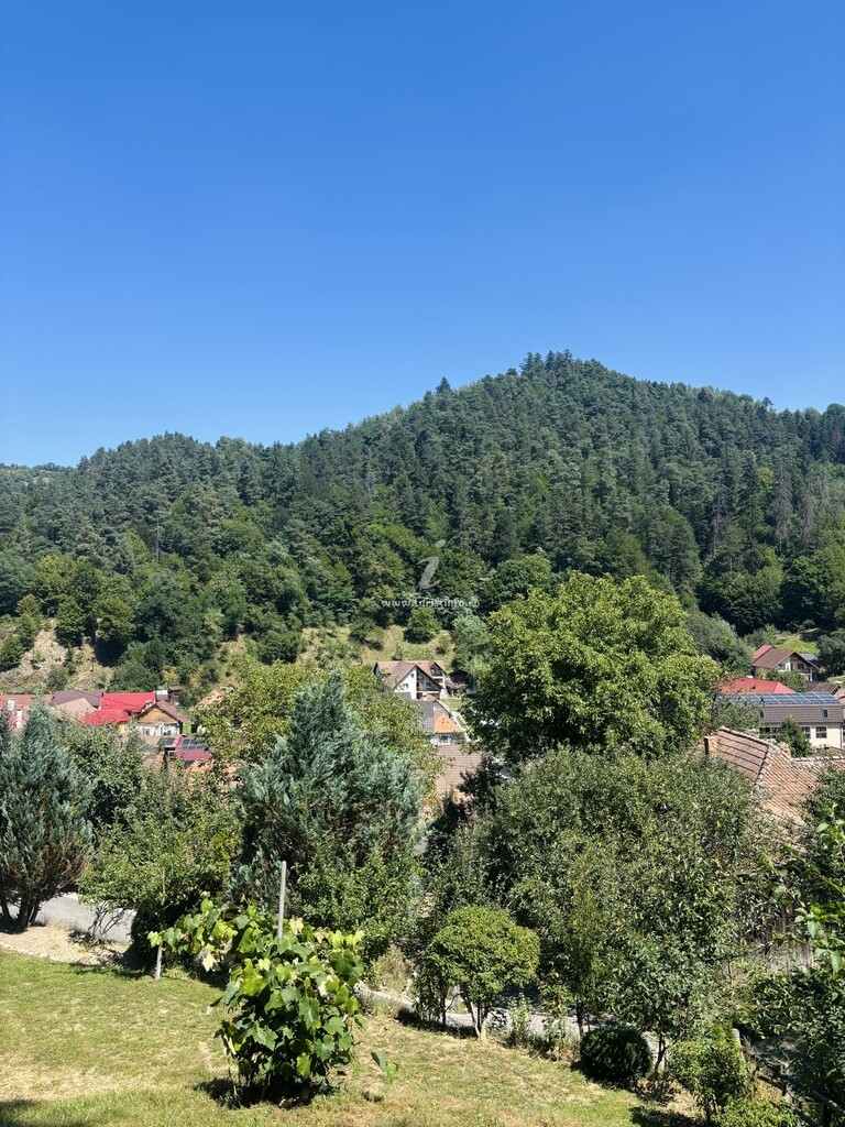 Pensiunea Village View