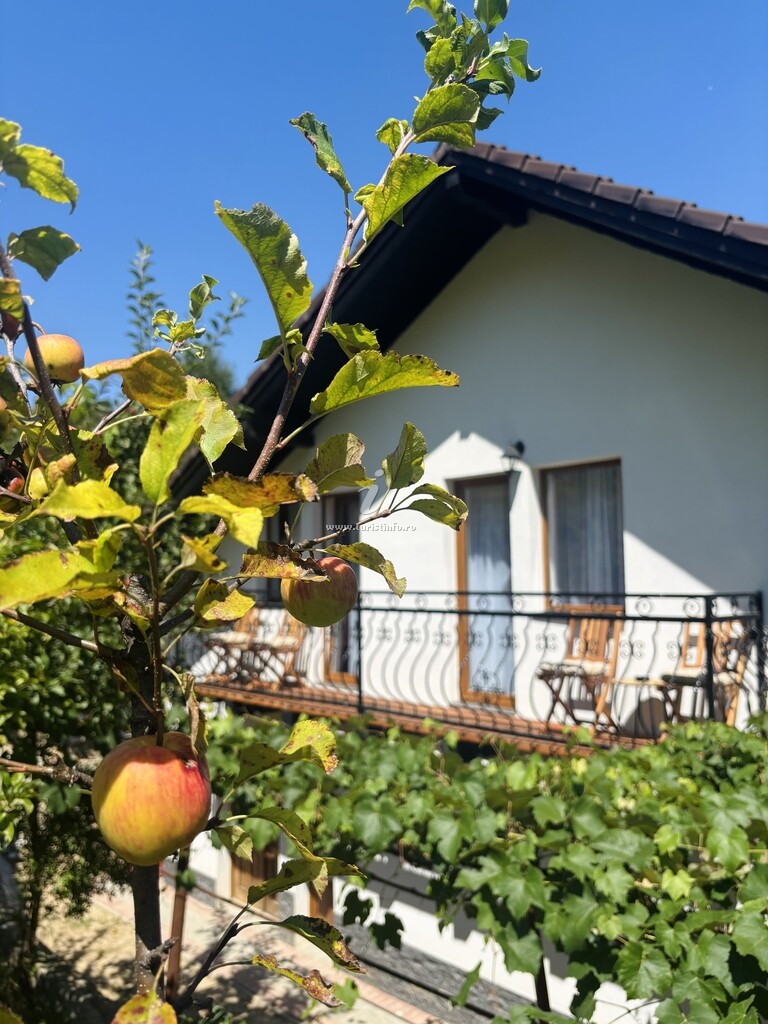 Pensiunea Village View