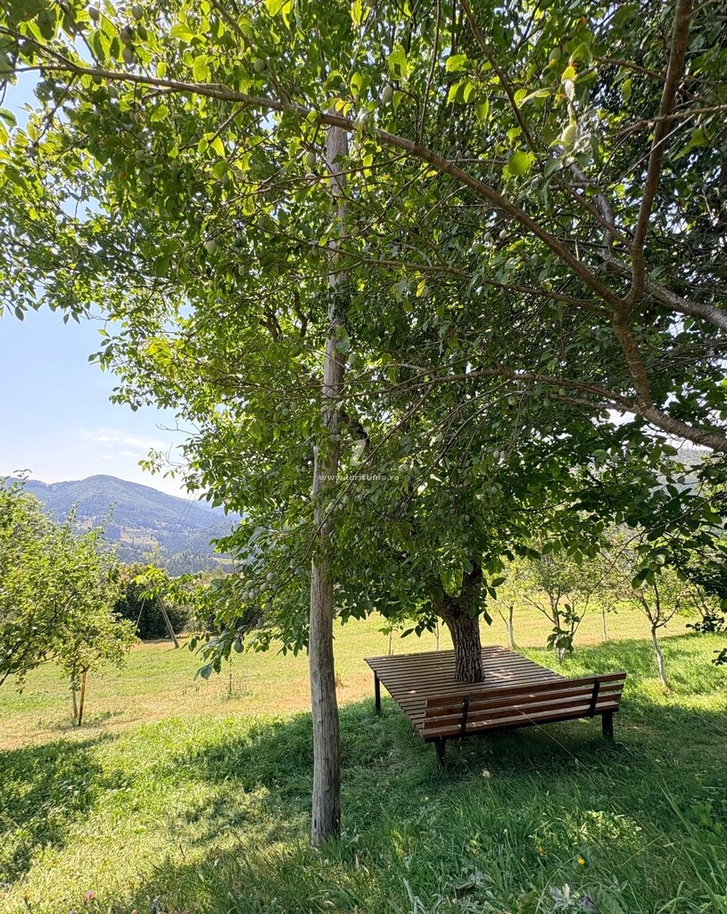 Cabana Mihaela