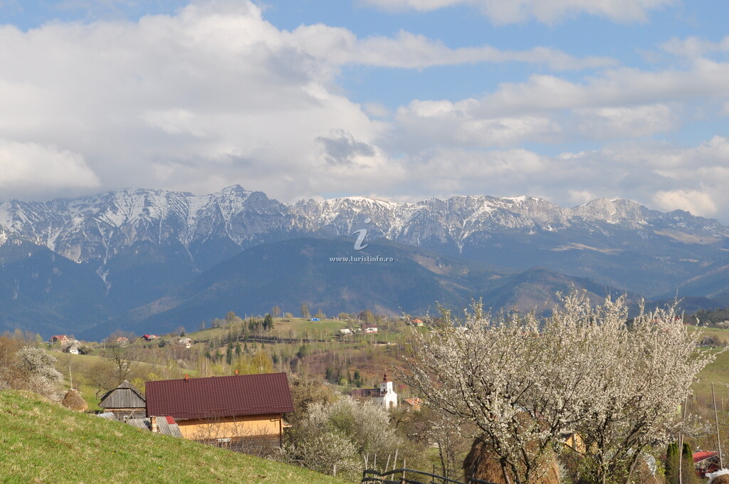 Cabana Peisaj