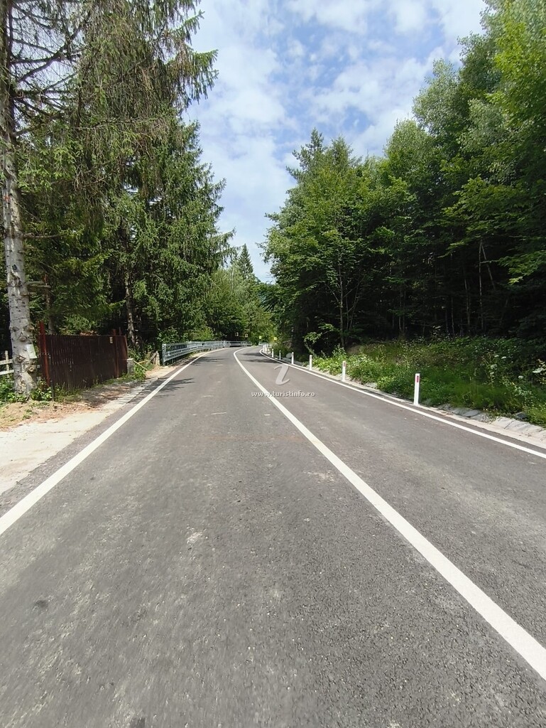 Cabana cu Brăduți