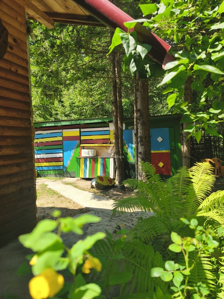 Cabana cu Brăduți