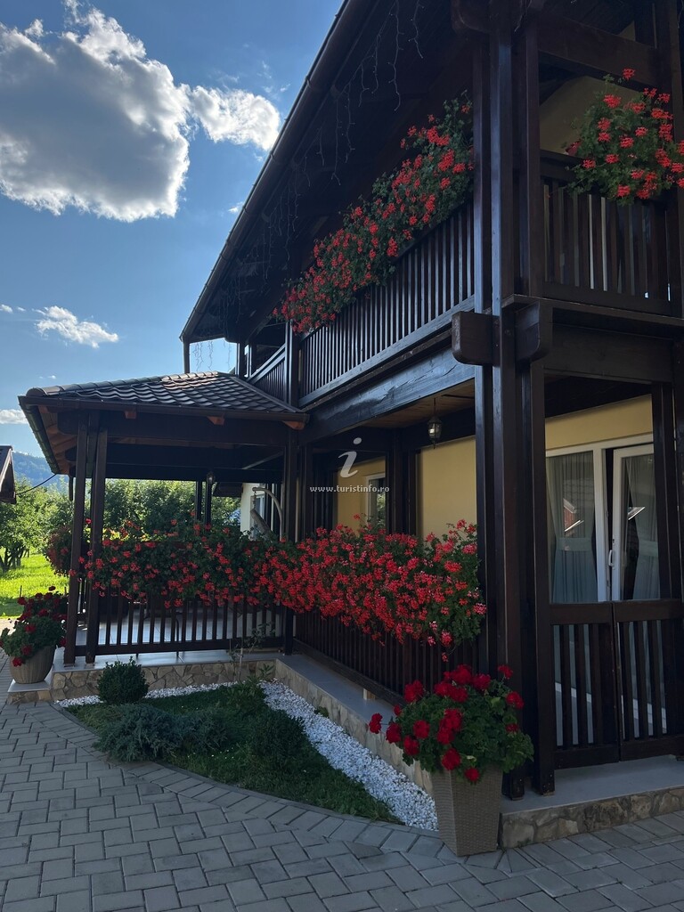 Camere de închiriat Casa Vicu