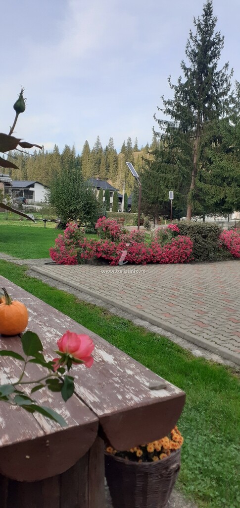 Pensiunea Colț de Bucovina