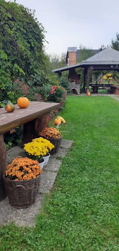 Pensiunea Colț de Bucovina