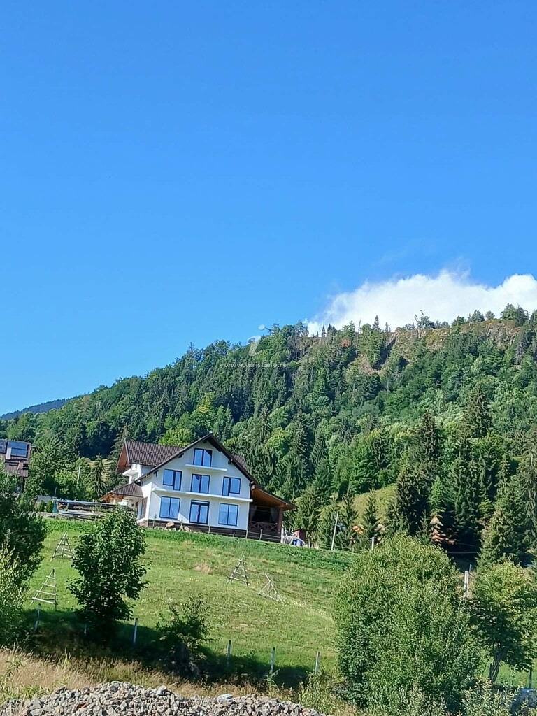 Vila Albia Colibiței