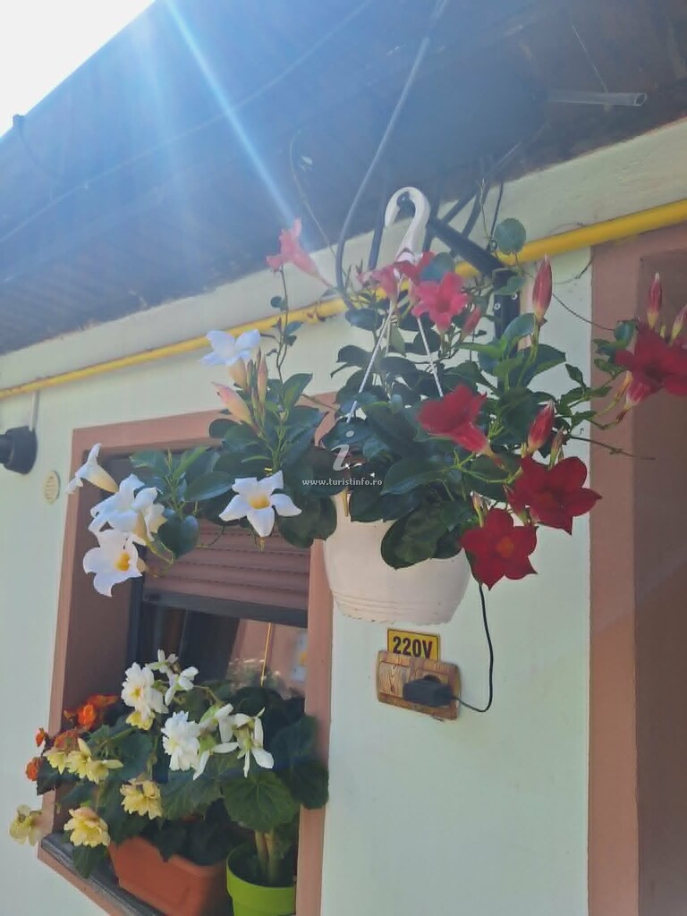Casa Izvor