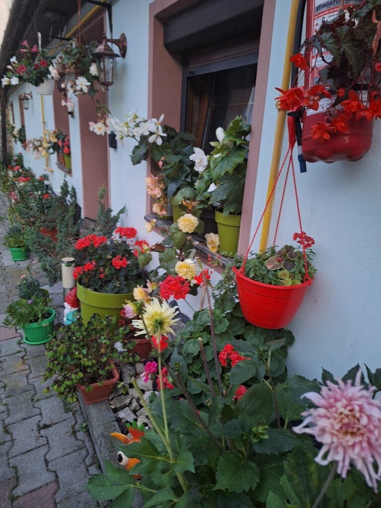 Casa Izvor
