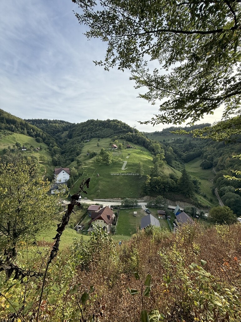 Cabana 3 Brăduți
