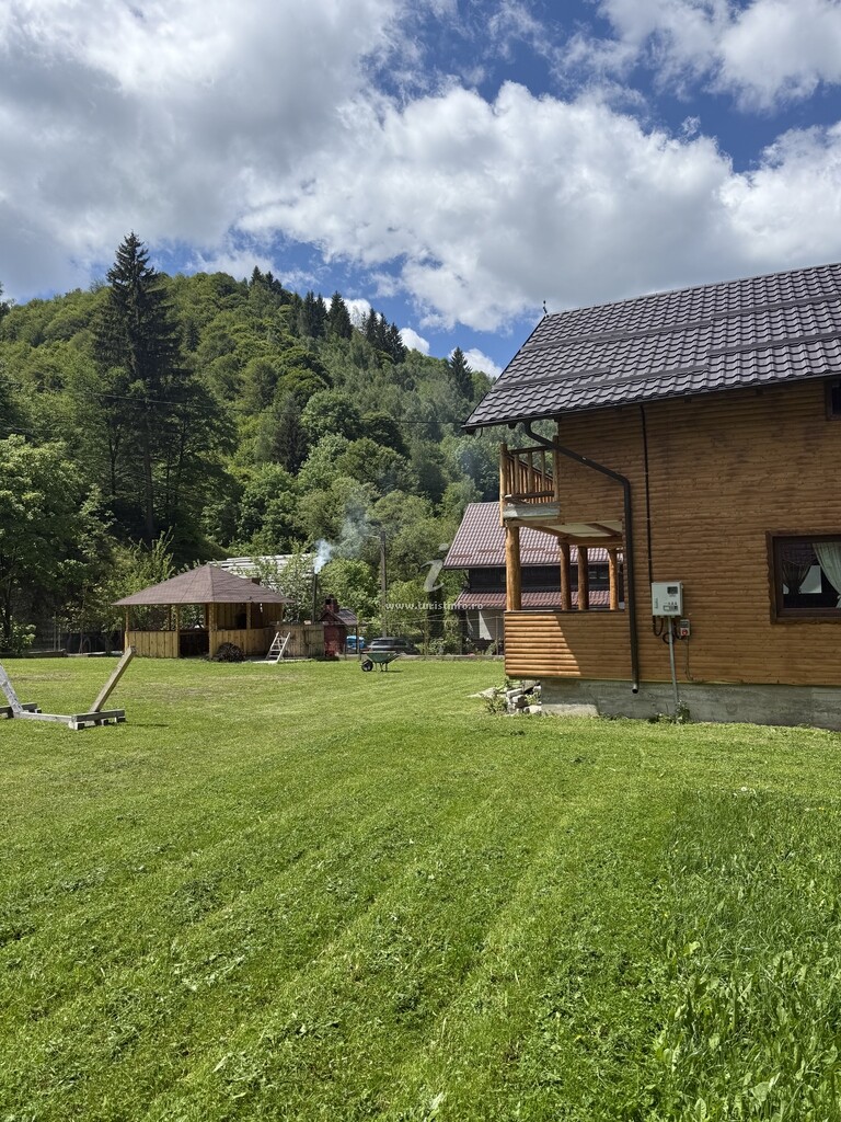 Cabana 3 Brăduți