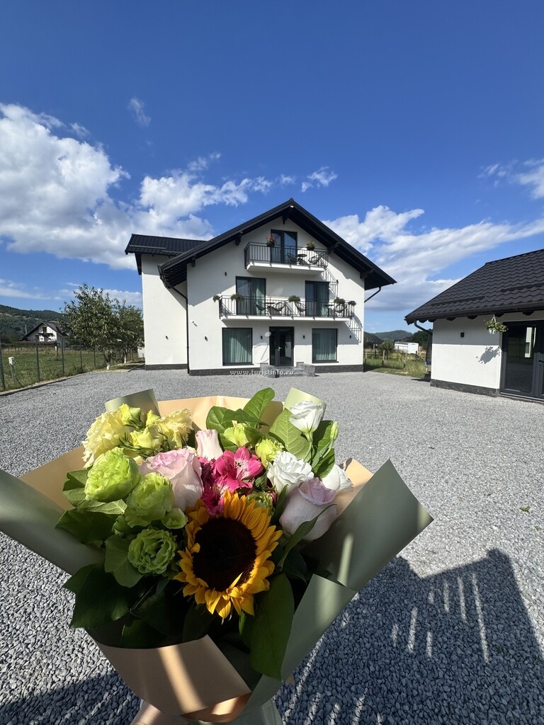 Pensiunea R.O.S.T Guesthouse