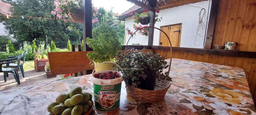 Casa cu Flori