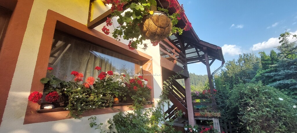 Casa cu Flori