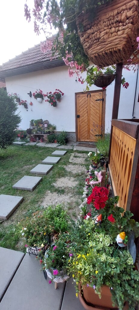 Casa cu Flori