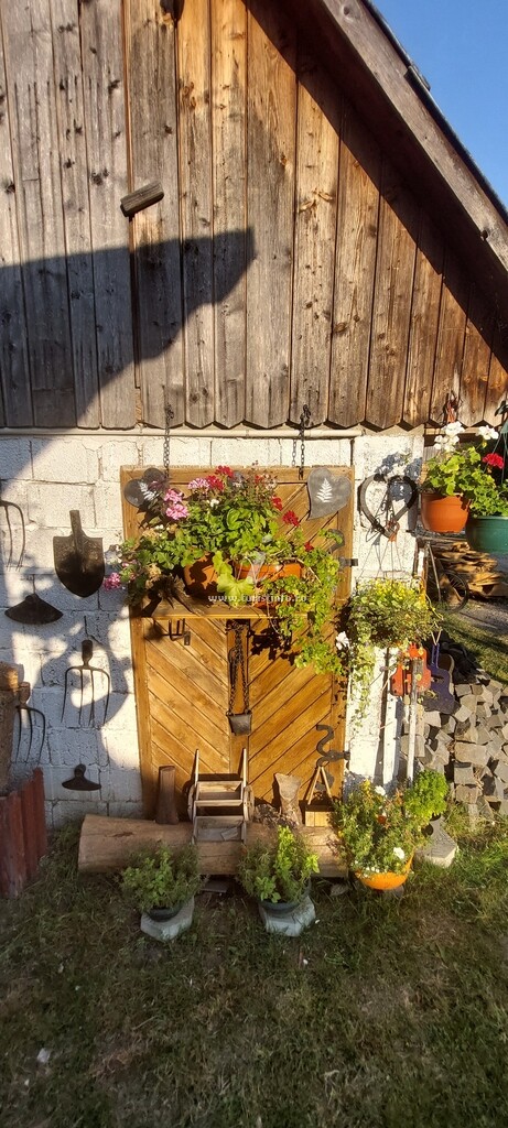 Casa cu Flori