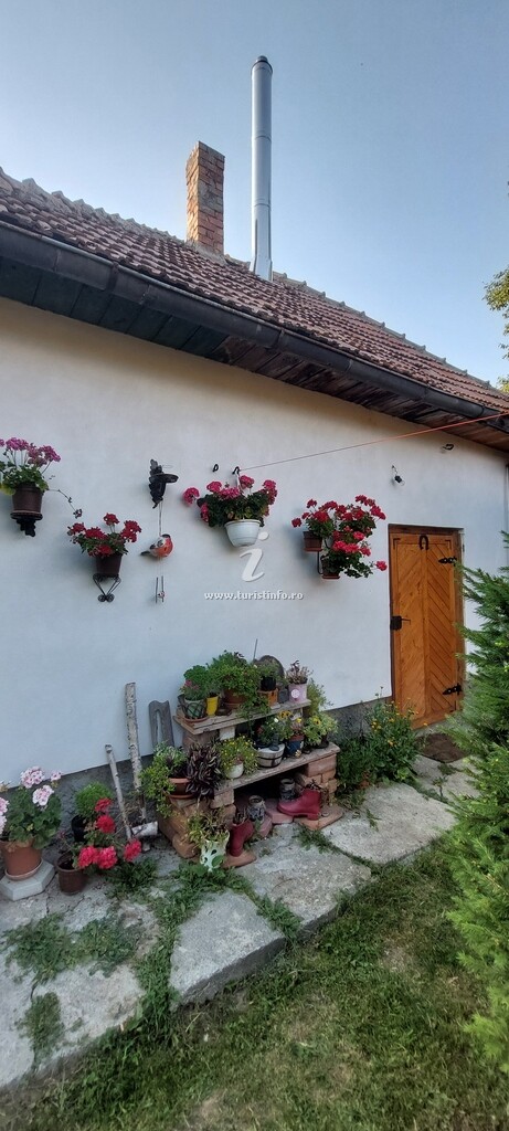 Casa cu Flori