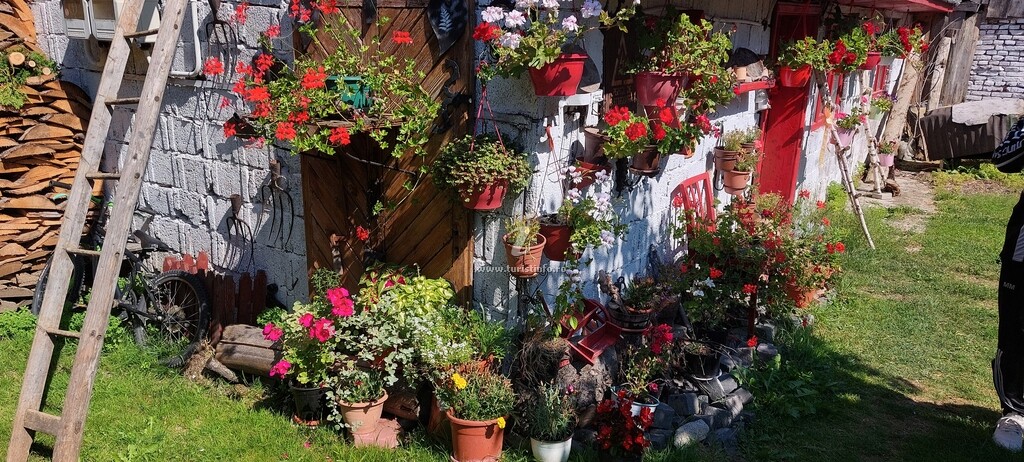 Casa cu Flori