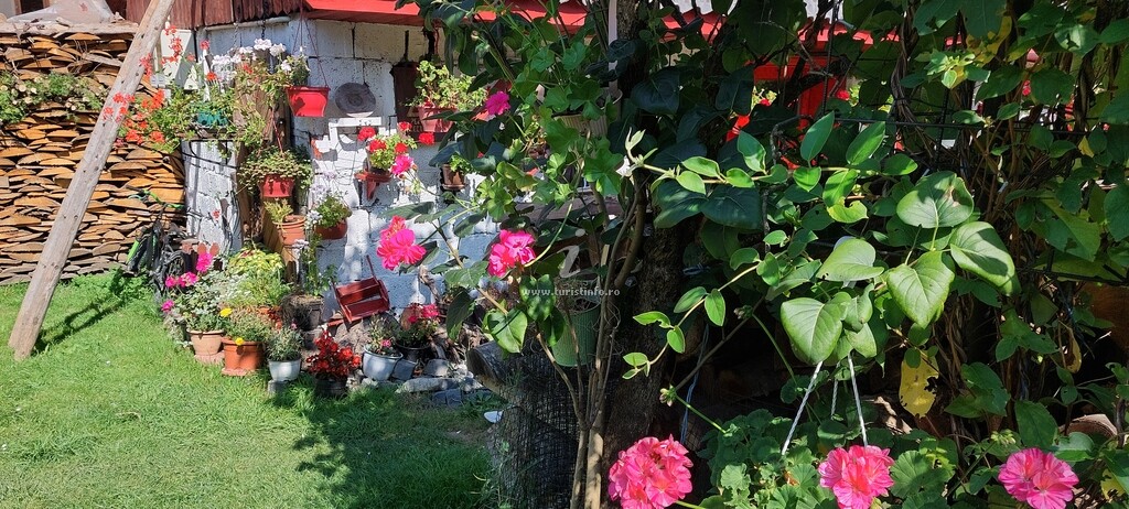 Casa cu Flori