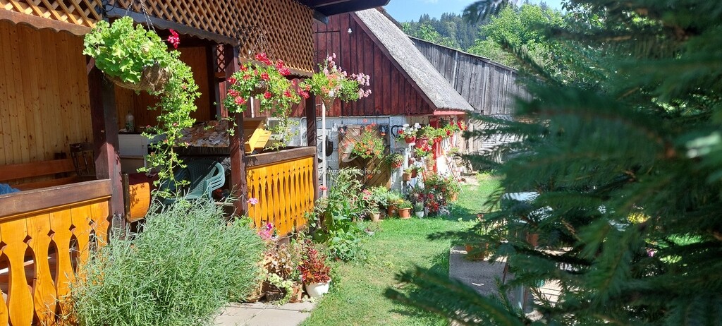 Casa cu Flori